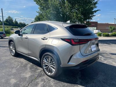 2022 Lexus NX — interior view