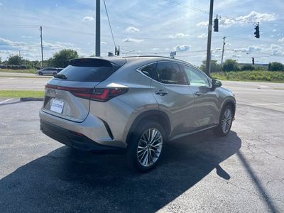 2022 Lexus NX — rear three-quarter view