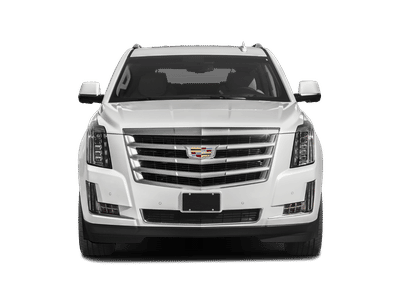 2019 Cadillac Escalade ESV — detail view