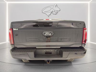 2025 Ford F-150 — detail view