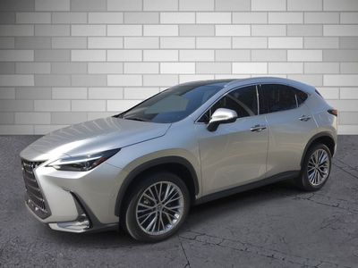2022 Lexus NX — side profile view