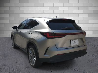 2022 Lexus NX — rear three-quarter view