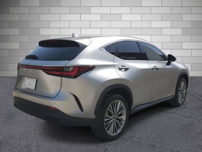 2022 Lexus NX — detail view