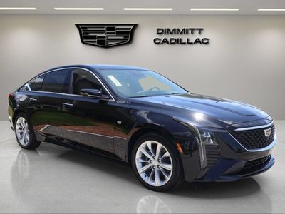 2026 Cadillac CT5 — rear three-quarter view