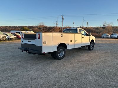 2025 Ford F-350SD — detail view
