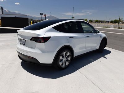 2023 Tesla Model Y — detail view