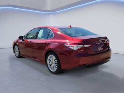 2019 Toyota Camry — detail view