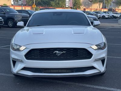 2021 Ford Mustang — side profile view