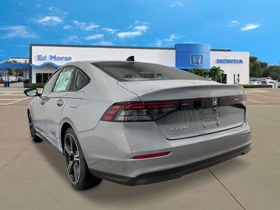 2026 Honda Accord — rear three-quarter view
