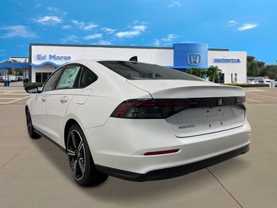 2026 Honda Accord — rear three-quarter view