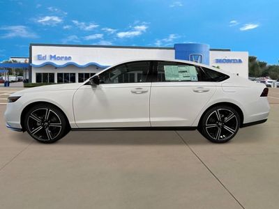 2026 Honda Accord — side profile view