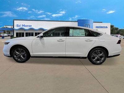 2026 Honda Accord Hybrid — side profile view