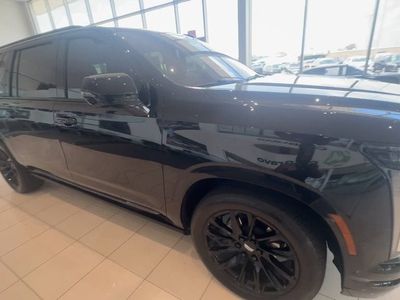 2025 Cadillac Escalade ESV — side profile view