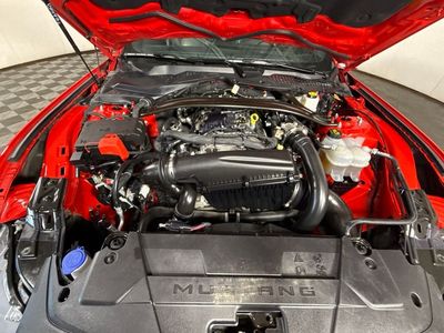 2025 Ford Mustang — detail view