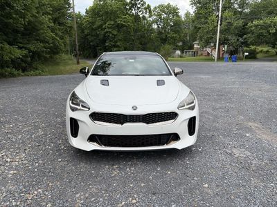 2019 Kia Stinger — side profile view