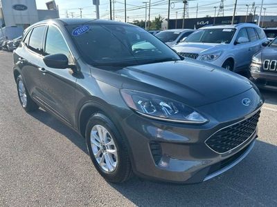 2020 Ford Escape — interior view