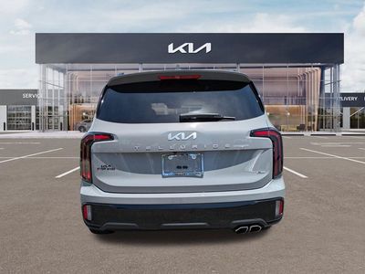 2024 Kia Telluride — detail view