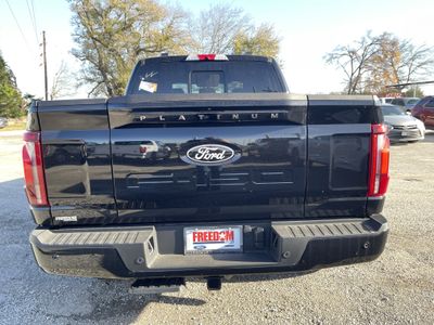 2025 Ford F-150 — detail view