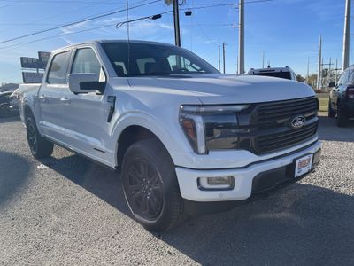 2025 Ford F-150 — side profile view