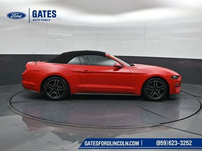 2020 Ford Mustang — rear three-quarter view