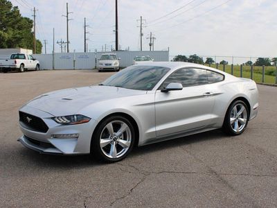 2019 Ford Mustang — side profile view