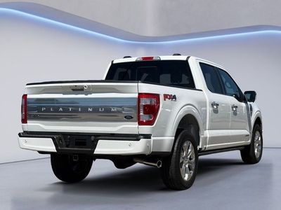 2023 Ford F-150 — detail view