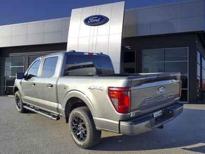 2025 Ford F-150 — rear three-quarter view