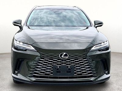2025 Lexus RX — interior view