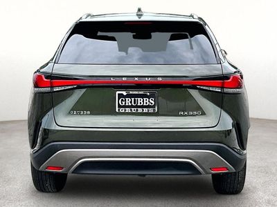 2025 Lexus RX — detail view