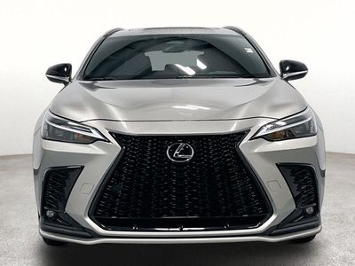 2023 Lexus NX — rear three-quarter view