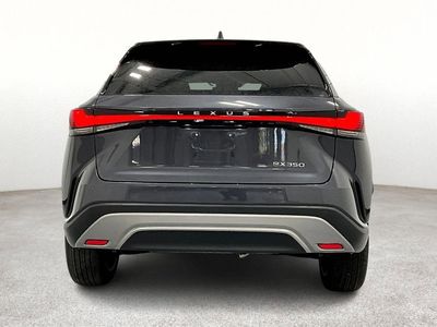 2024 Lexus RX 350 — detail view