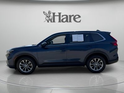 2024 Honda CR-V — side profile view