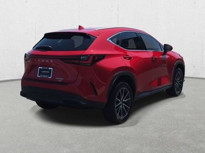 2023 Lexus NX — detail view