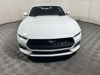 2026 Ford Mustang — rear three-quarter view