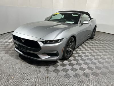 2025 Ford Mustang — interior view