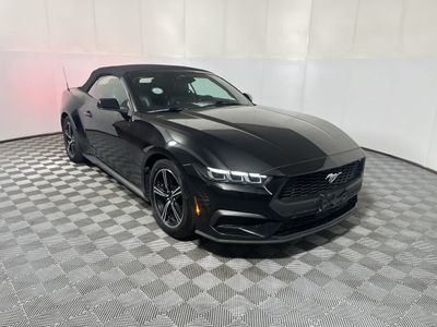2025 Ford Mustang — side profile view