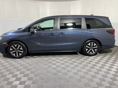 2025 Honda Odyssey — detail view