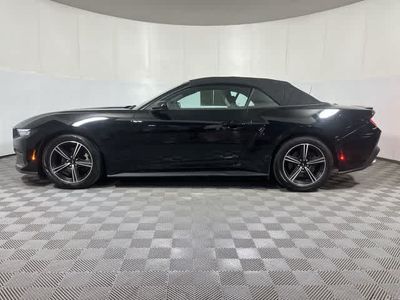 2024 Ford Mustang — detail view