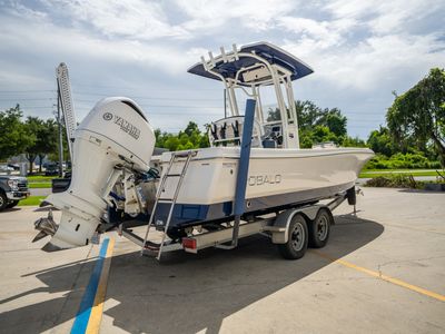 2018 Robalo 246 Cayman — rear three-quarter view