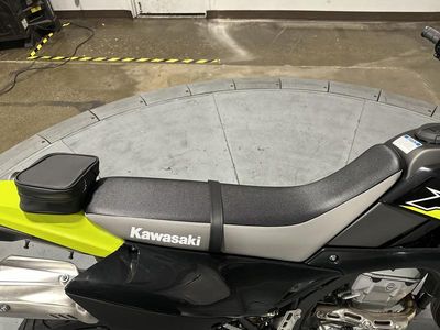 2026 Kawasaki KLX300SM - Photo 11