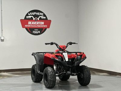 2025 Yamaha Grizzly 110 - Photo 1
