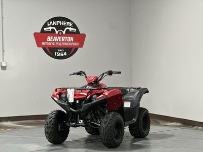 2025 Yamaha Grizzly 110 - Photo 2
