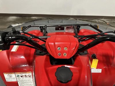 2025 Yamaha Grizzly 110 - Photo 12