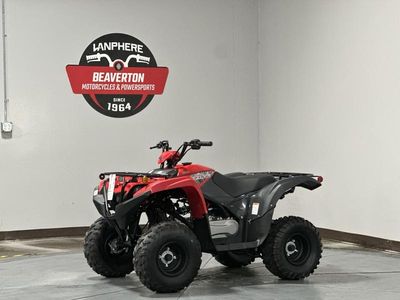 2025 Yamaha Grizzly 110 - Photo 3