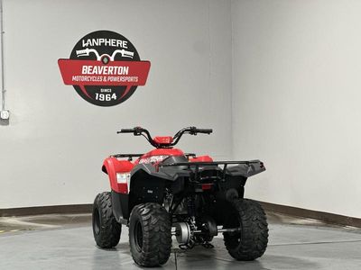 2025 Yamaha Grizzly 110 - Photo 4