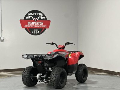 2025 Yamaha Grizzly 110 - Photo 5