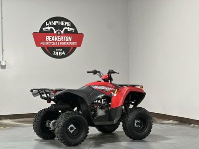 2025 Yamaha Grizzly 110 - Photo 6