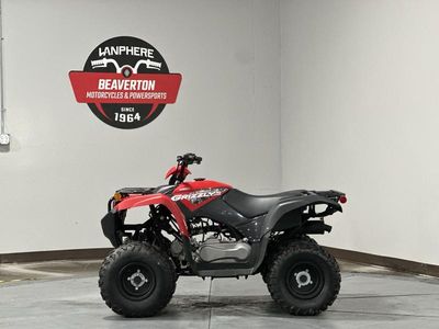 2025 Yamaha Grizzly 110 - Photo 9