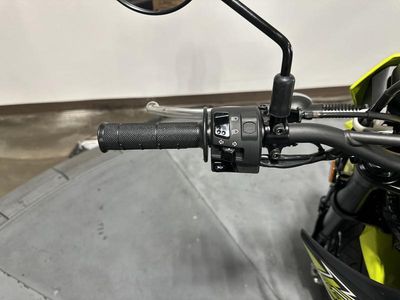 2026 Kawasaki KLX230SM ABS - Photo 14