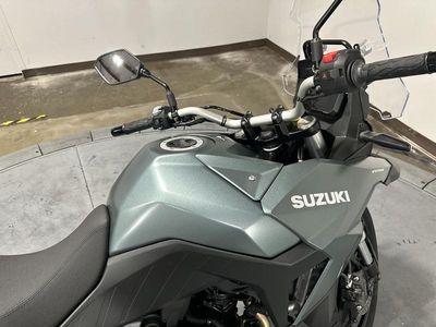 2024 Suzuki V-Strom 800 - Photo 15